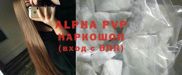 шишки Арсеньев