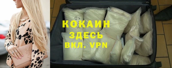 шишки Арсеньев