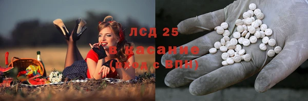 шишки Арсеньев