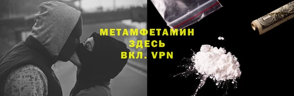 шишки Арсеньев