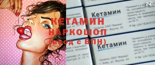 шишки Арсеньев