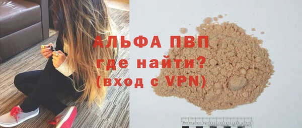шишки Арсеньев