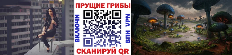 Псилоцибиновые грибы Magic Shrooms  купить   Белинский 